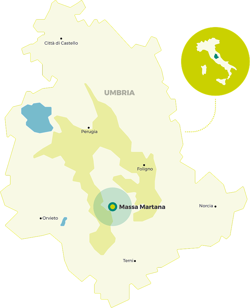 Map Map