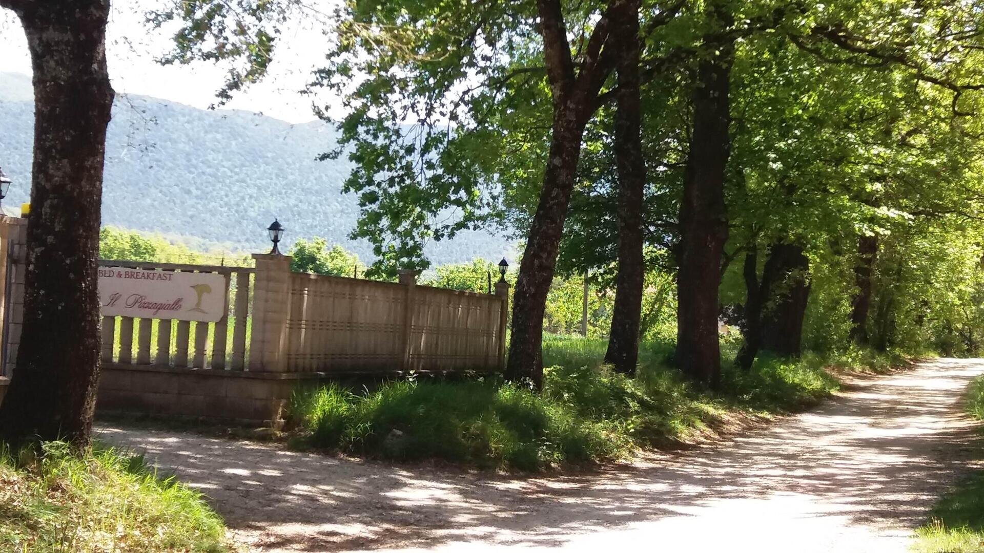 INGRESSO B&B IL PIZZAGIALLO