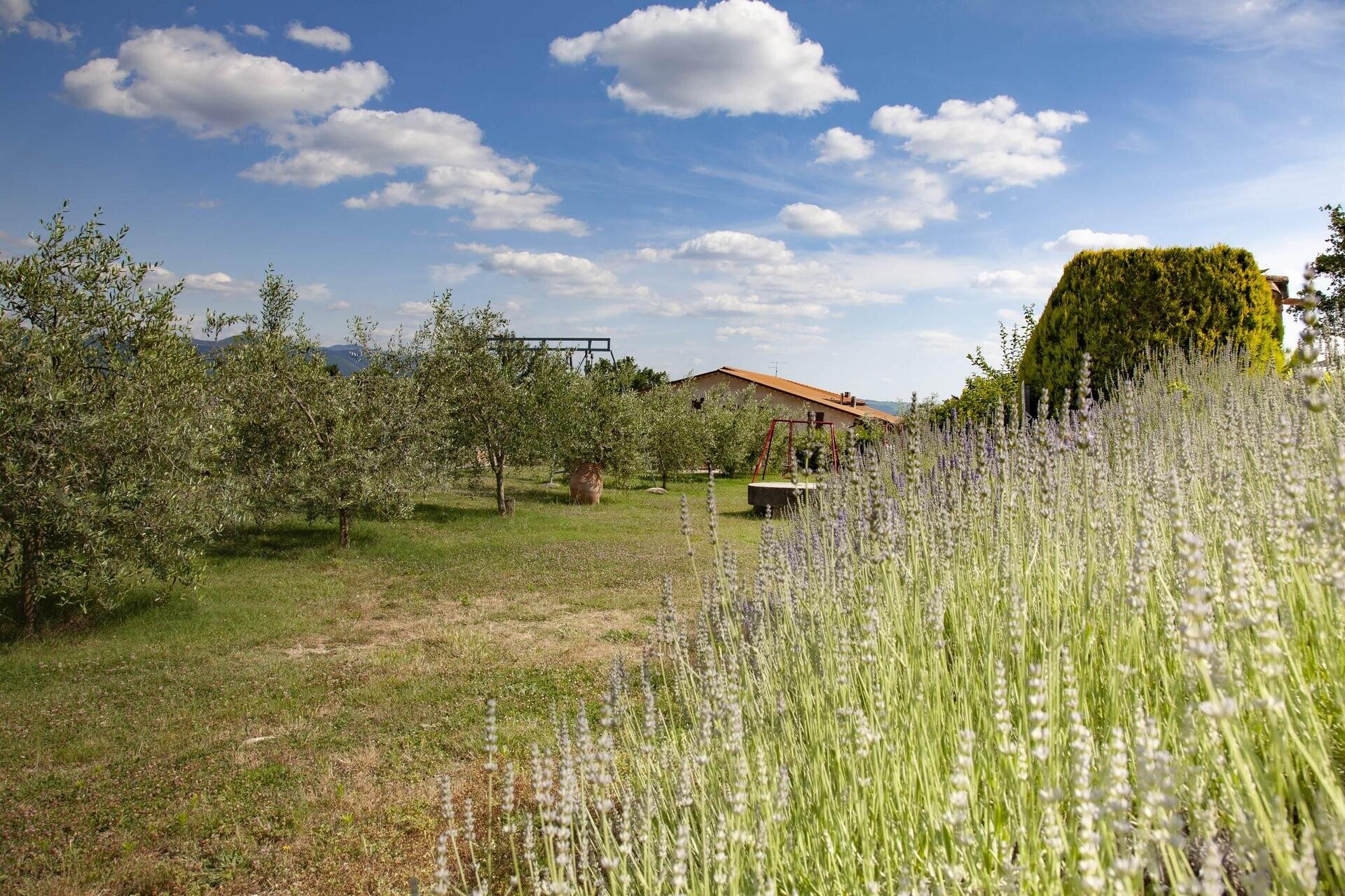 Campagna