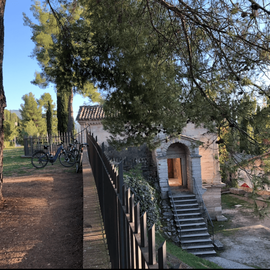 Tour 3 in Bici (tutti i tipi) con guida AGCI