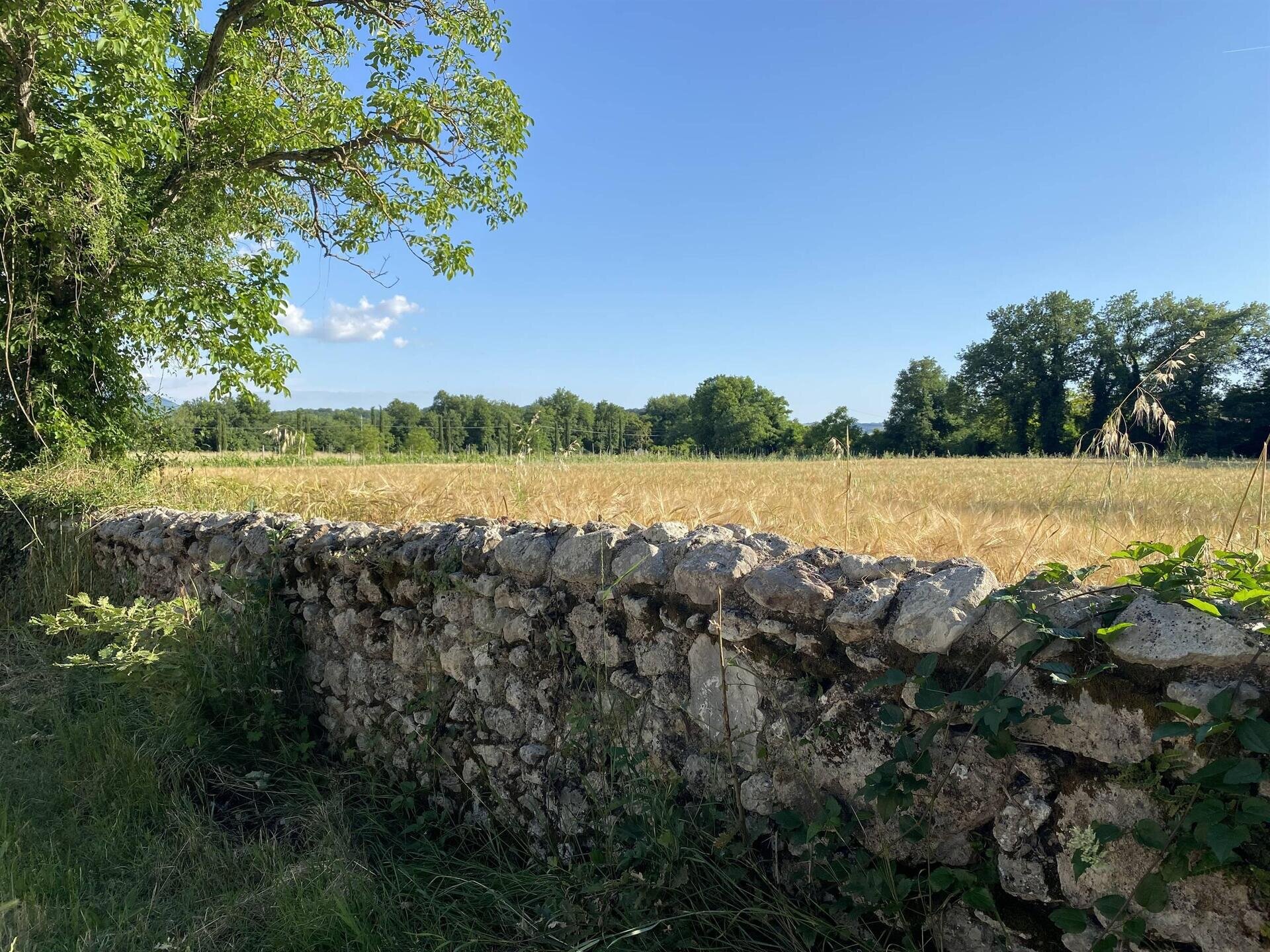 Antica Via Flaminia