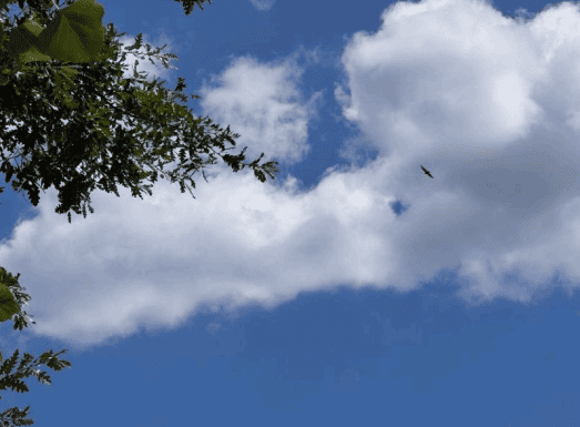 Immagine 2026 02 26 194342