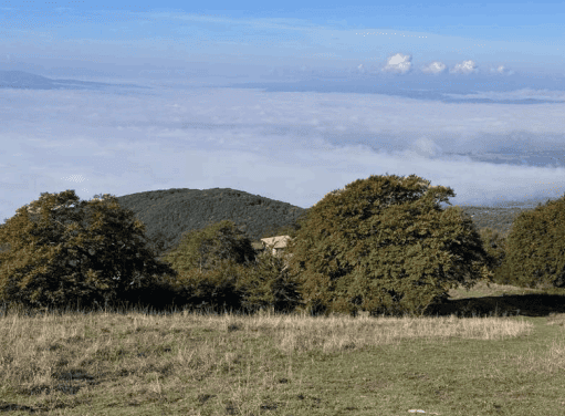 Immagine 2026 02 26 194608