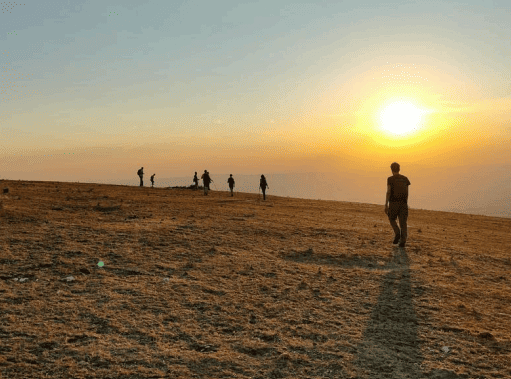 Immagine 2026 02 26 194622