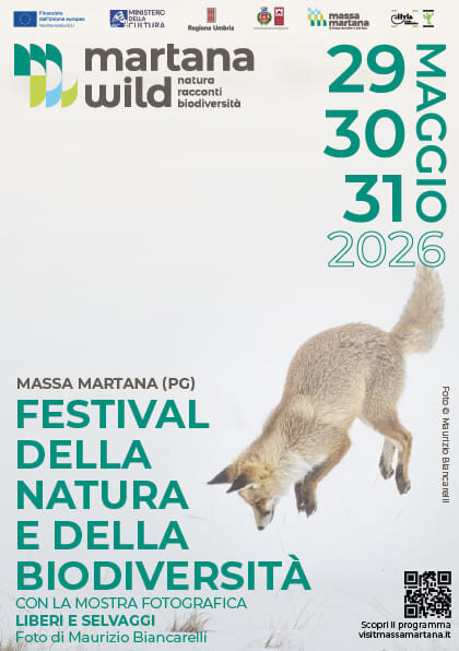 MW Volantino A5