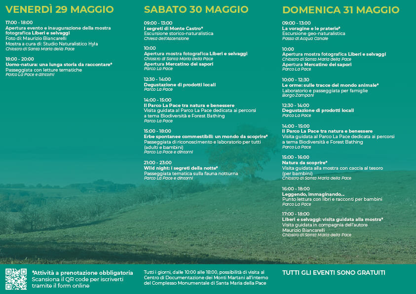 MW Brochure A5 Retro