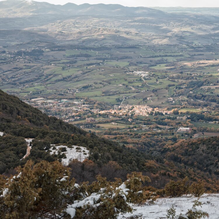 12122021  DSC8959