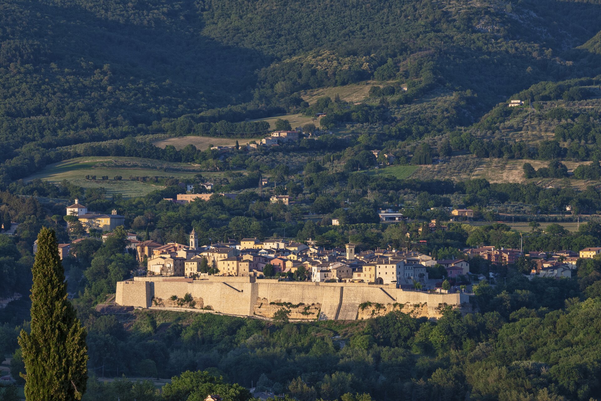 DSC6527 DSC6527