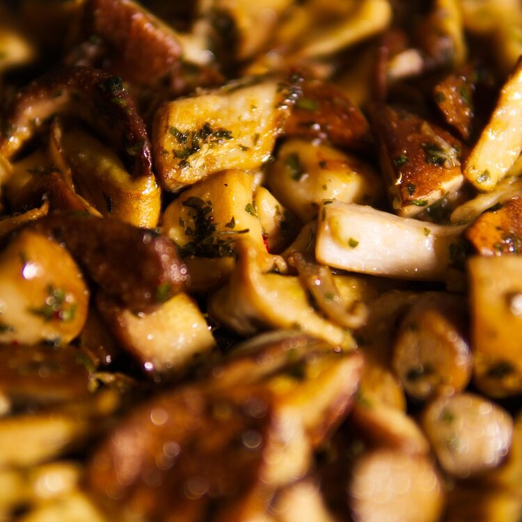 Funghi