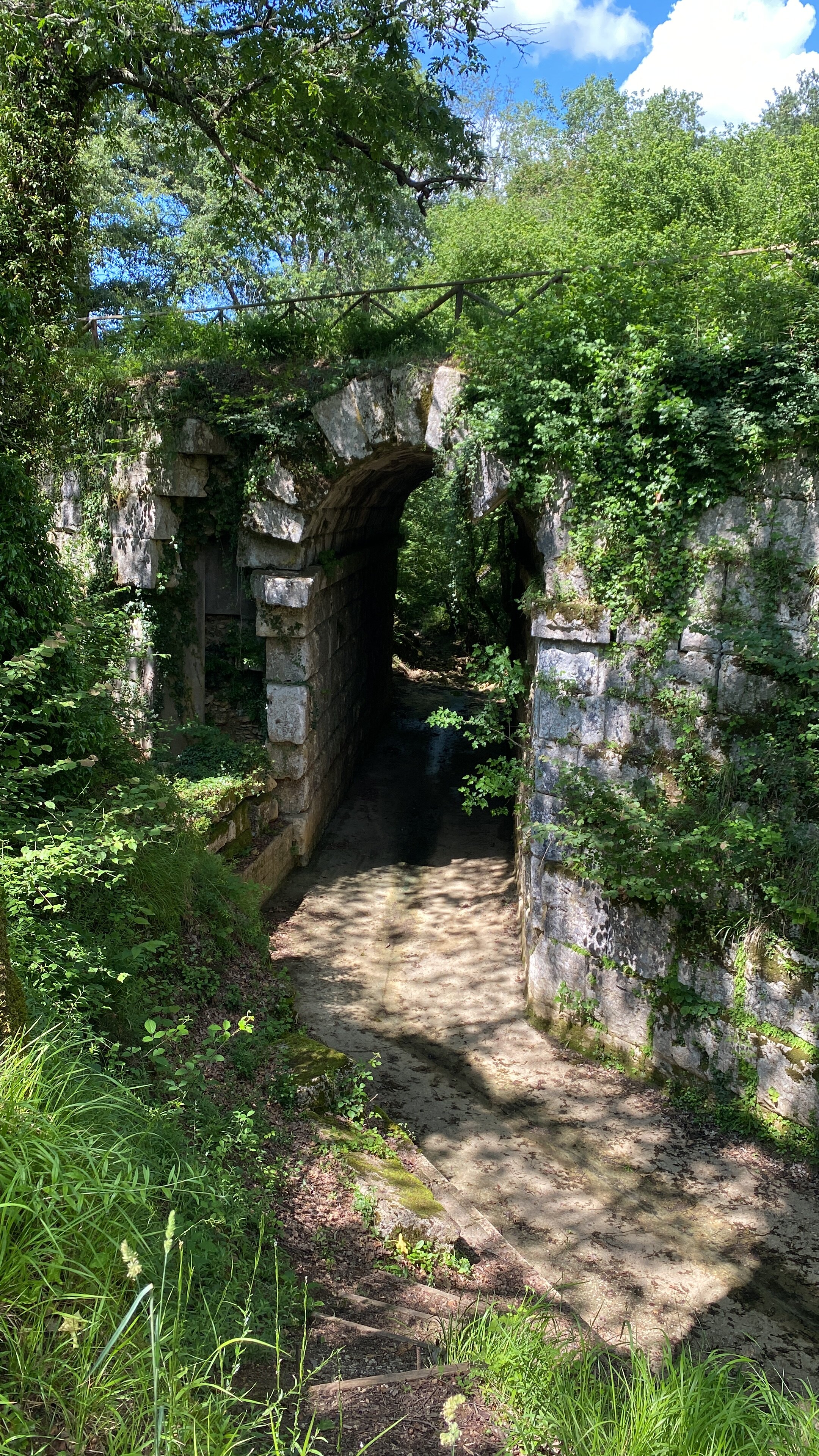 D6ED997C 18F7 44CD AB52 9F89273B6EF9