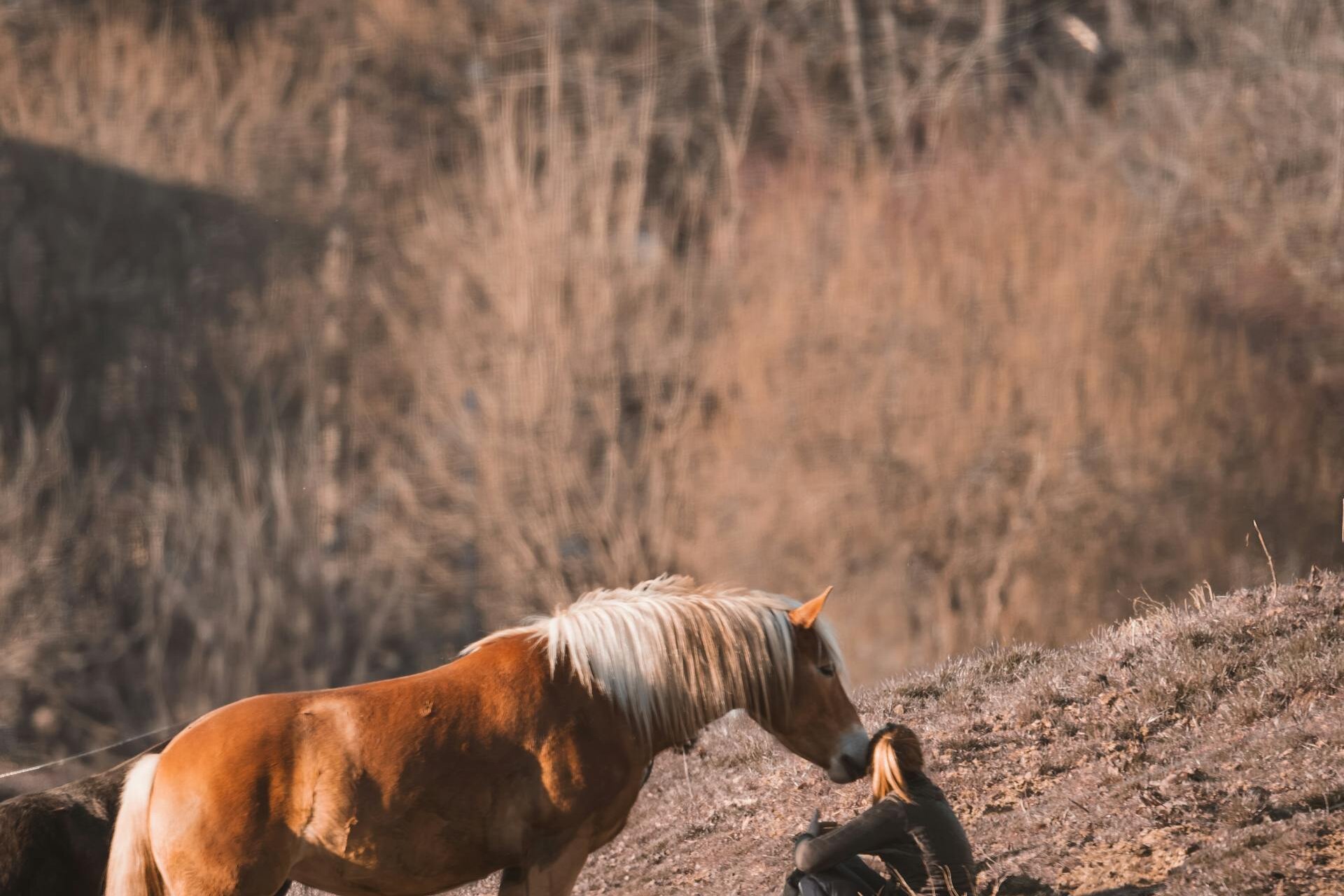 Pexels Ahmetyuksek 31635251