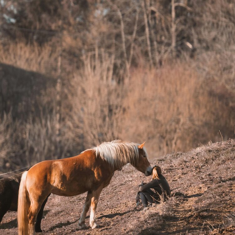 Pexels Ahmetyuksek 31635251